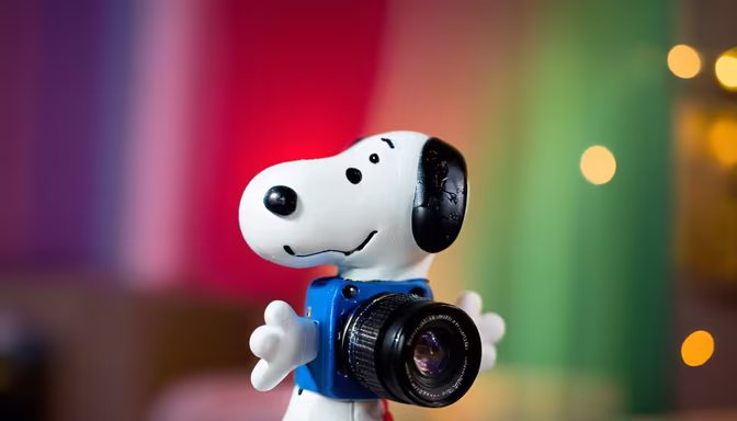 Say Cheese!