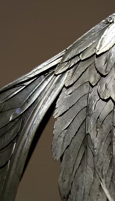 Metallic Wings Metallic Wings
