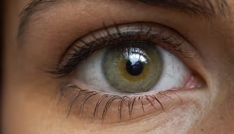 Window to the Soul