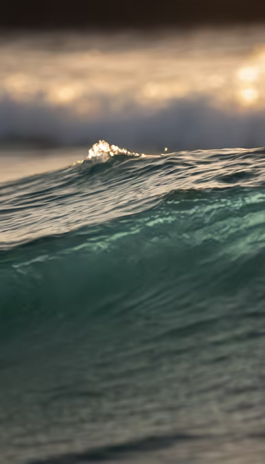 Ocean's Embrace Ocean's Embrace