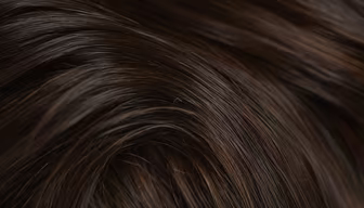 Chocolate Swirl Chocolate Swirl