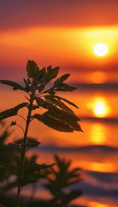 Golden Hour