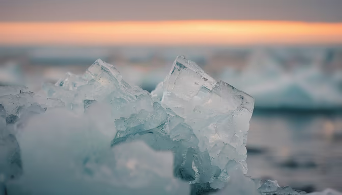 Frozen Beauty