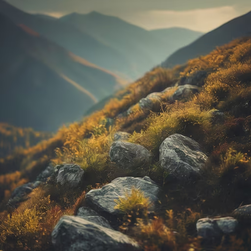 Mountain Vista