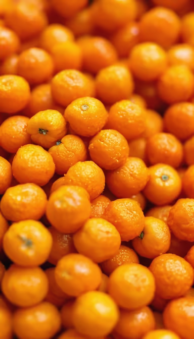 Citrus Burst Citrus Burst