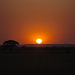 African Sunset African Sunset