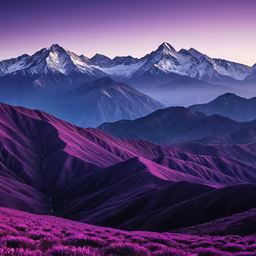Purple Majesty Purple Majesty