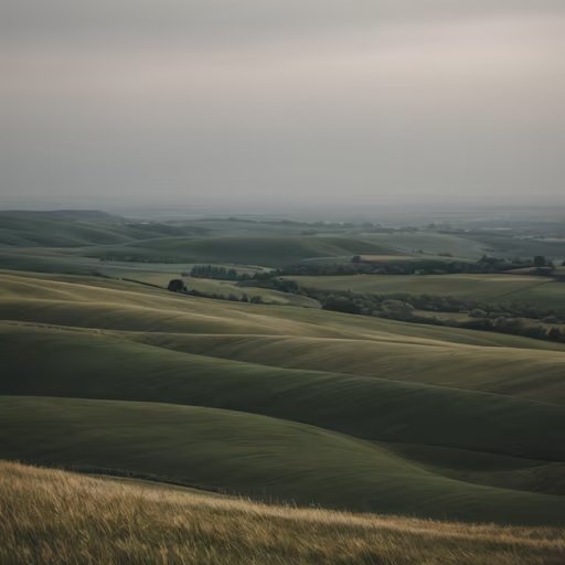 Rolling Hills
