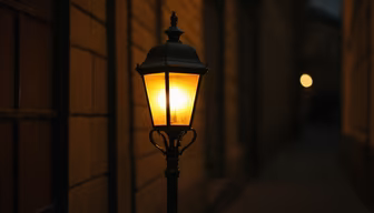 Night's Embrace Night's Embrace