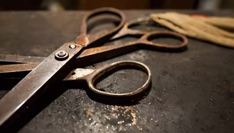 Vintage Scissors Vintage Scissors