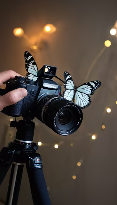 Capturing Beauty