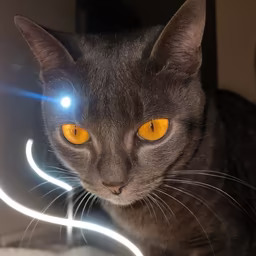 Hypnotic Gaze