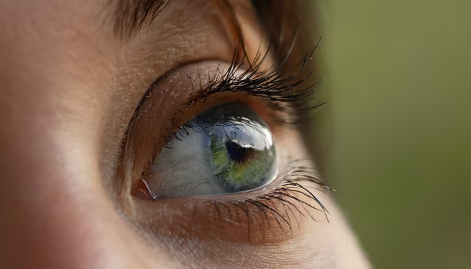 Window to the Soul