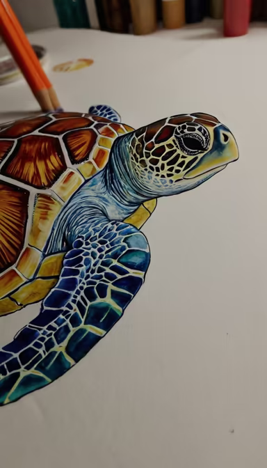 Sea Turtle Art Sea Turtle Art