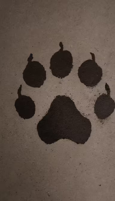 Paw Print Paw Print