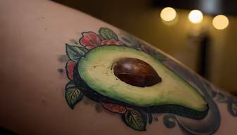 Avocado Art Avocado Art