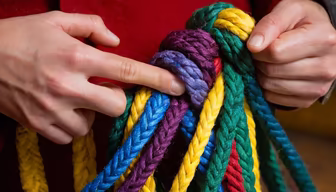 Colorful Knot Colorful Knot