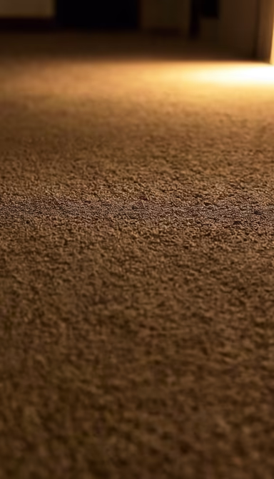Carpet Dreams Carpet Dreams