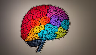 Brain Power Brain Power