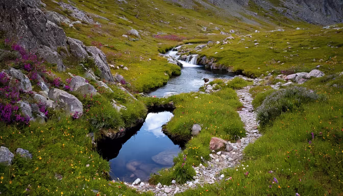 Mountain Stream