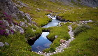 Mountain Stream Mountain Stream
