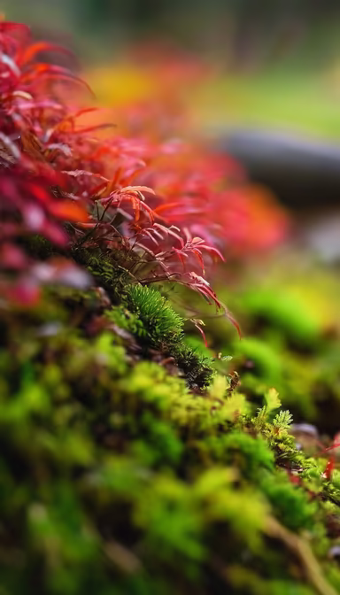 Nature's Palette