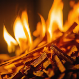 Cozy Fire Cozy Fire