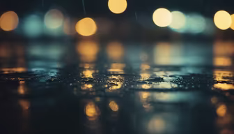 City Rain