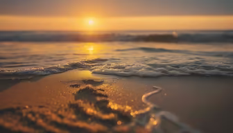 Golden Hour at the Beach Golden Hour at the Beach