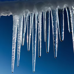 Winter's Jewels