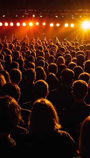 Concert Vibes Concert Vibes
