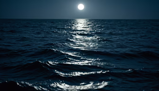 Moonlit Ocean
