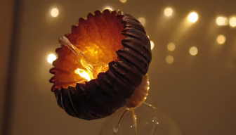 Glowing Shell Glowing Shell