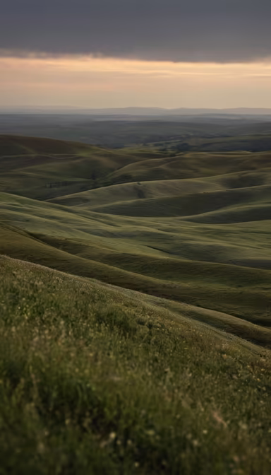Rolling Hills