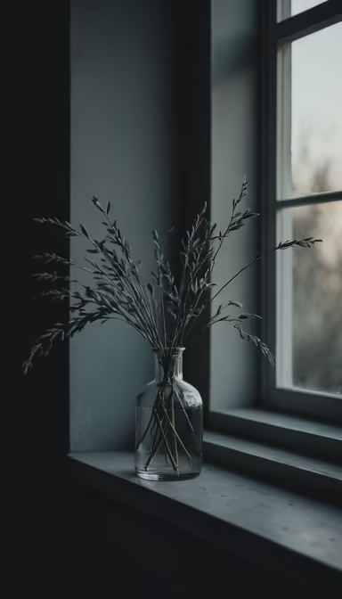 Window Still Life Window Still Life