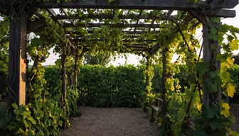 Vineyard Haven Vineyard Haven