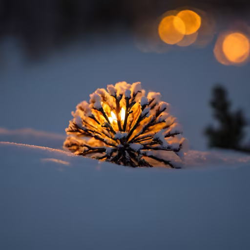 Winter's Glow