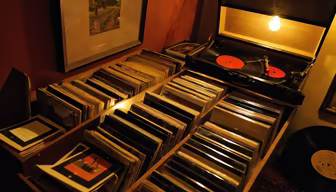 Vinyl Haven Vinyl Haven