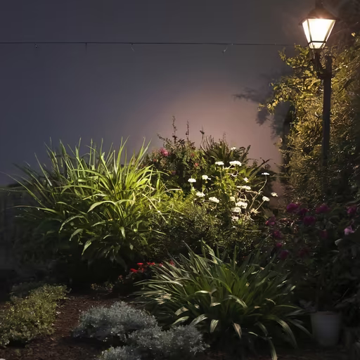 Night Garden