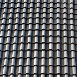 Roofscape Roofscape