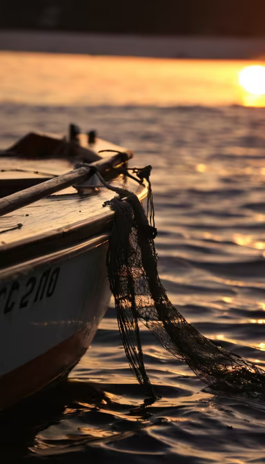 Golden Hour Serenity Golden Hour Serenity