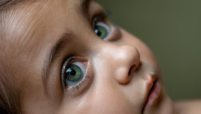 Innocence