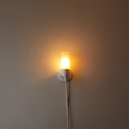 Warm Light Warm Light