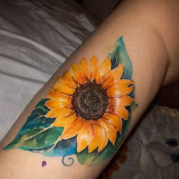 Sunflower Power