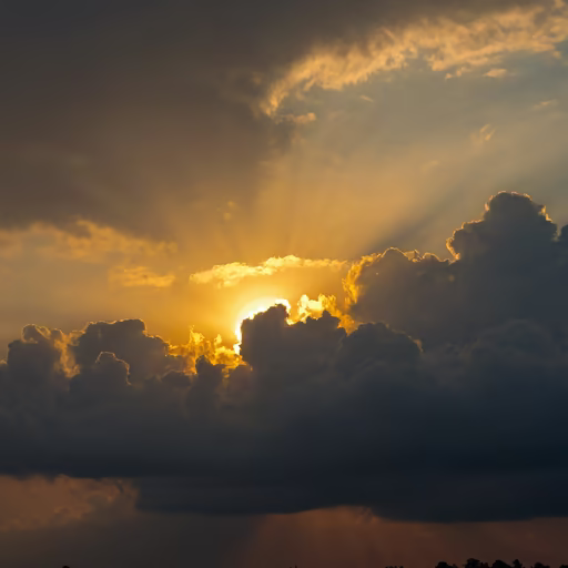 Golden Hour Majesty