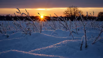 Winter's Embrace