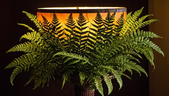 Fern Lamp Fern Lamp