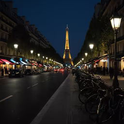 Parisian Nights