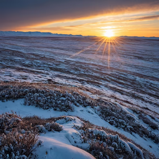 Winter's Embrace