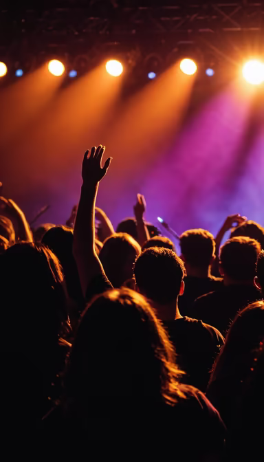 Concert Vibes Concert Vibes